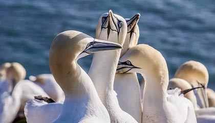 安吉最新的高价医保卡惠民保险代扣怎么取消掉了方法分享(安吉惠民医保怎么报销教程)