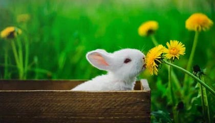 安吉最新的医保卡上的钱怎么提现方法分享(安吉医保卡上的钱怎么提现到银行卡教程)